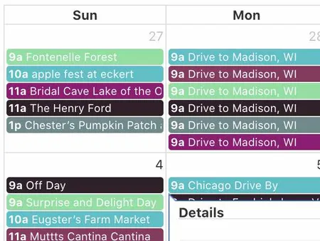 Screenshot of Calendar Details.